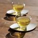 Set căni din sticlă Hario, 170 ml, 2 buc. HU-2-EX foto 2